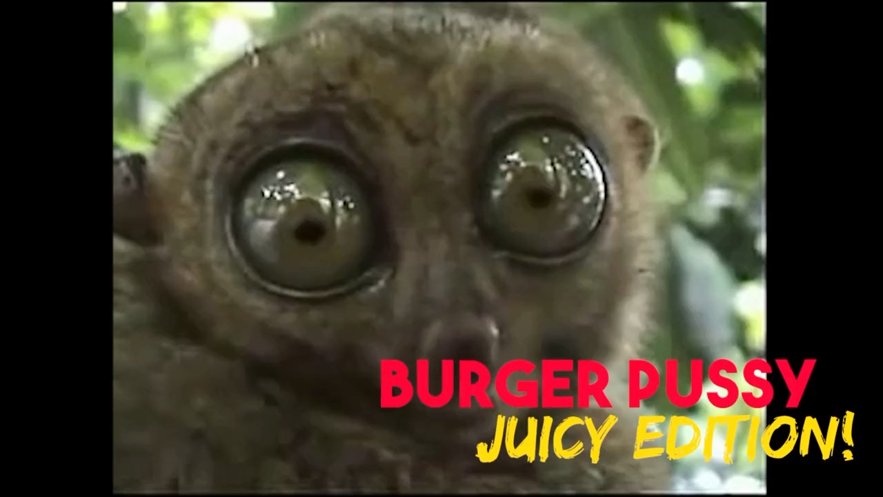 Pussy Delivery  - Burger Pussy