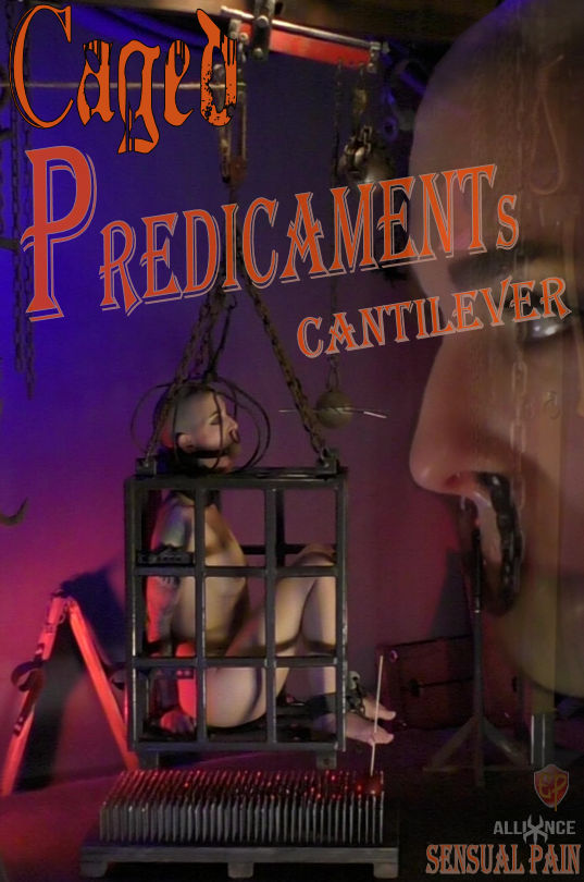 Mar 19, 2017: Caged Predicaments - Cantilever / Abigail Dupree