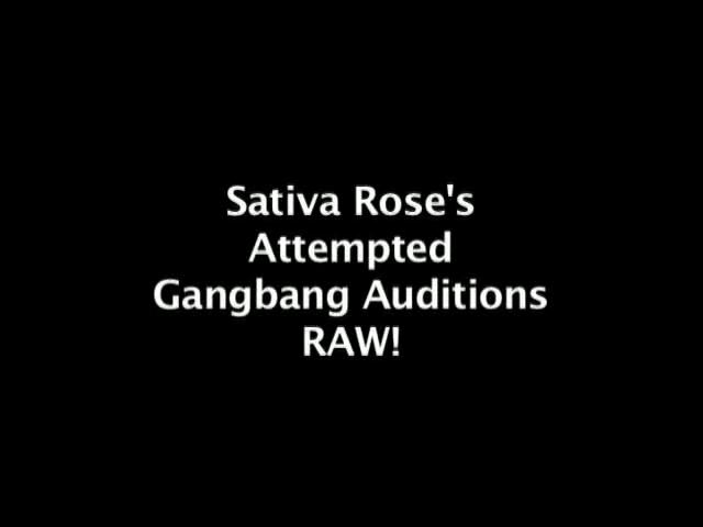 Sativa Rose