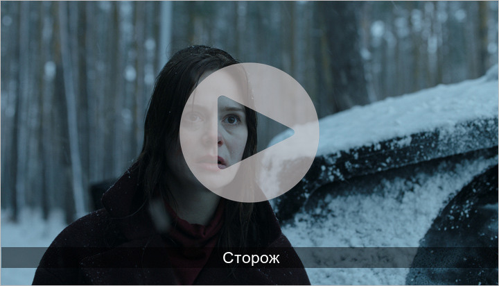 12 сторож. Сторожка (2019).